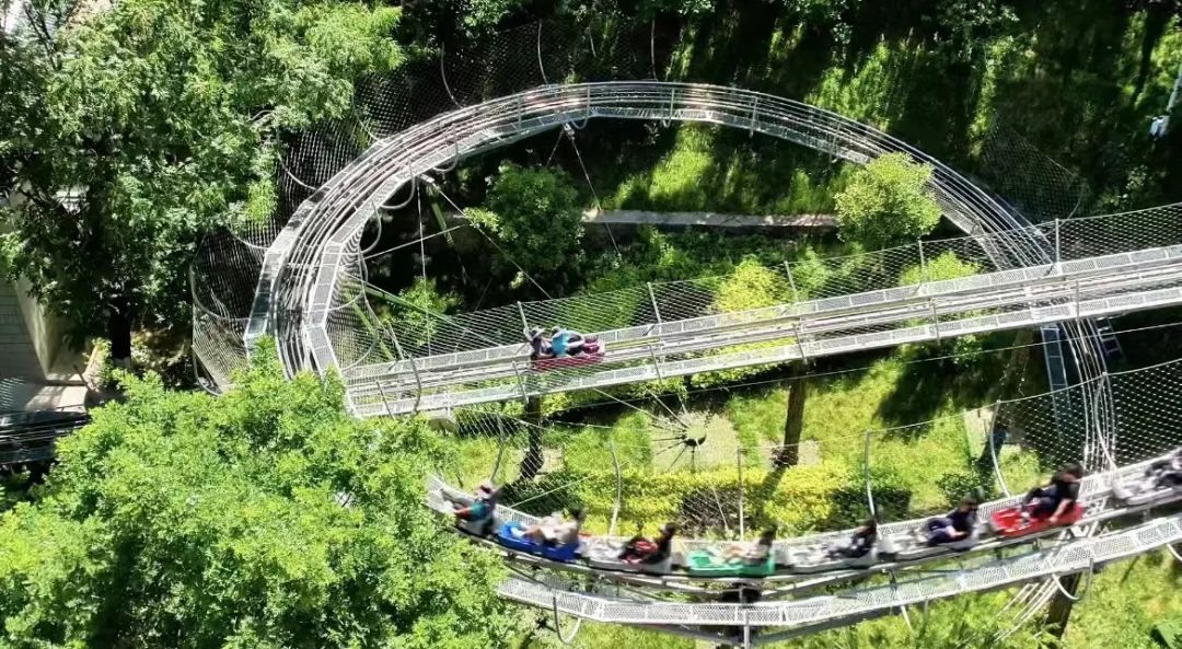 @中高考考生,华山门票+西峰索道+华山滑道半价优惠政策请查收(图4)