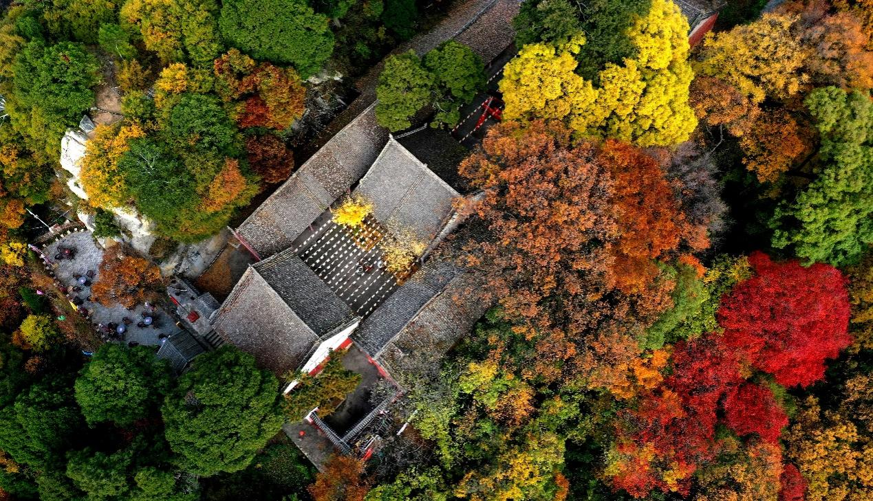 (图2)