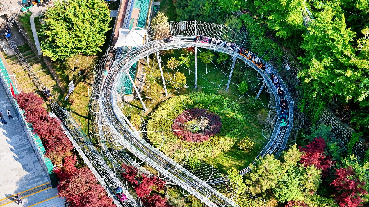 (图6)
