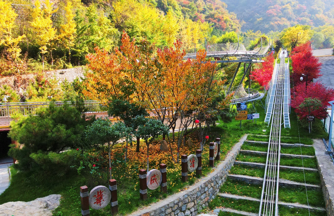 (图5)