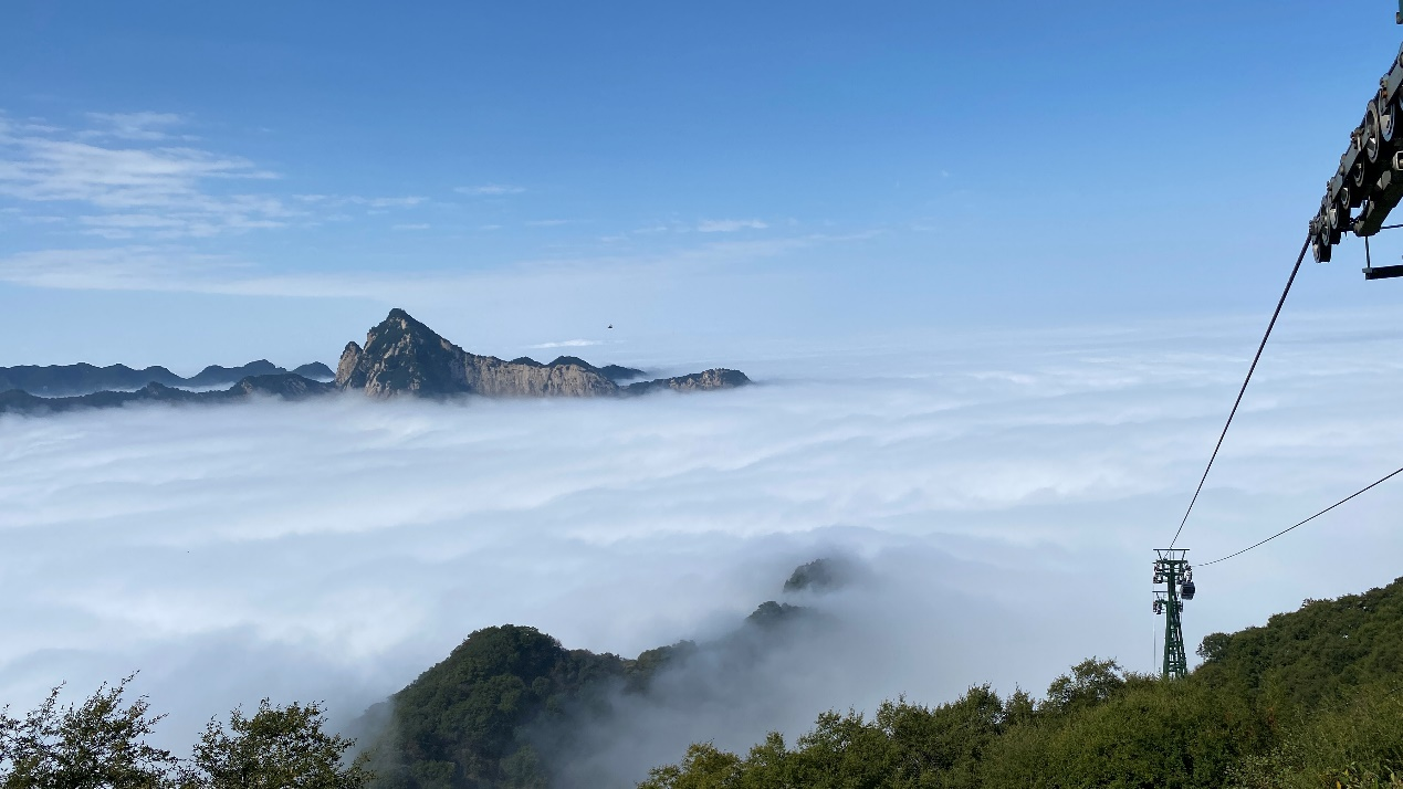 (图3)